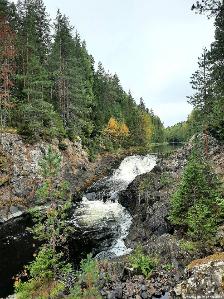 Знакомство с Карелией — Куклы Rosemarie Anna Muller (Мюллер): Вихтели (Wichtel)