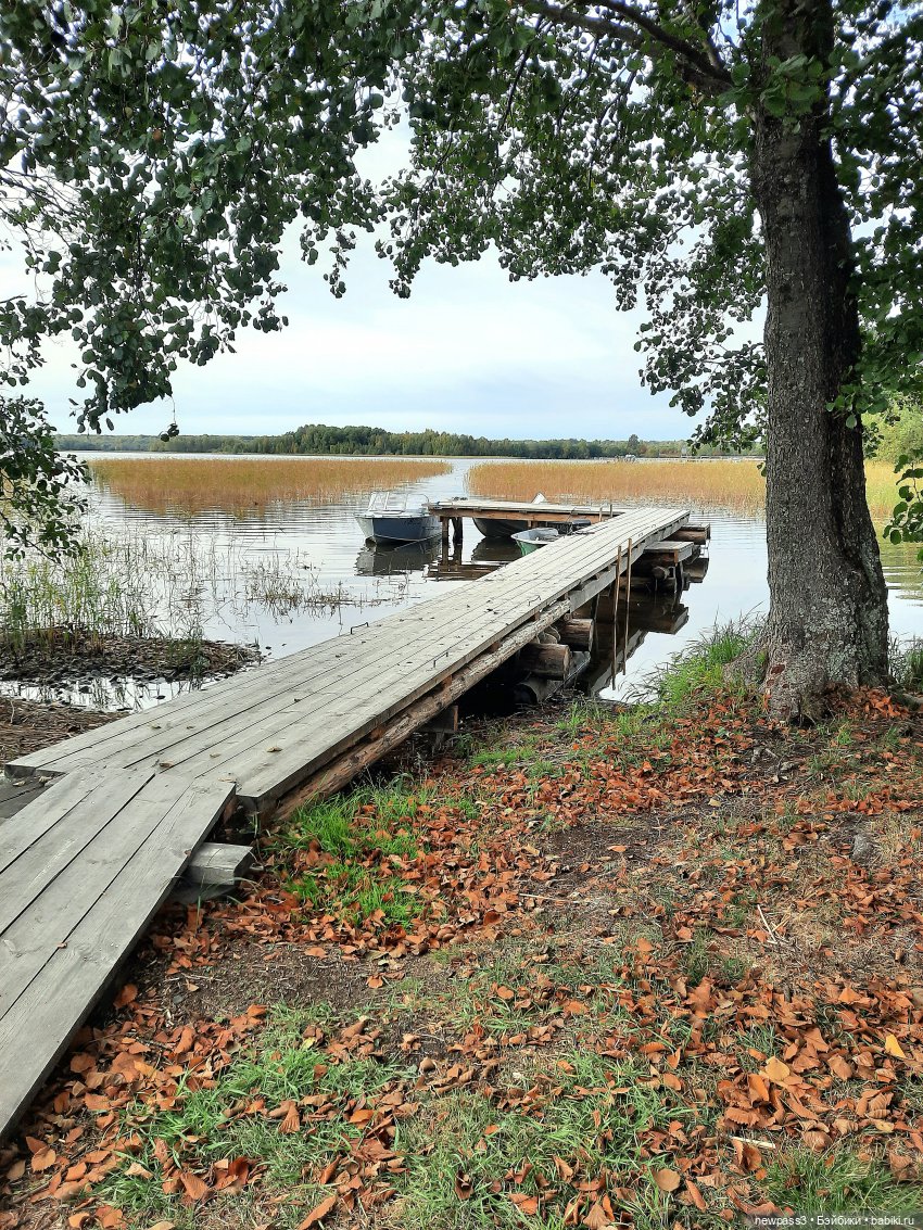Знакомство с Карелией — Куклы Rosemarie Anna Muller (Мюллер): Вихтели (Wichtel)