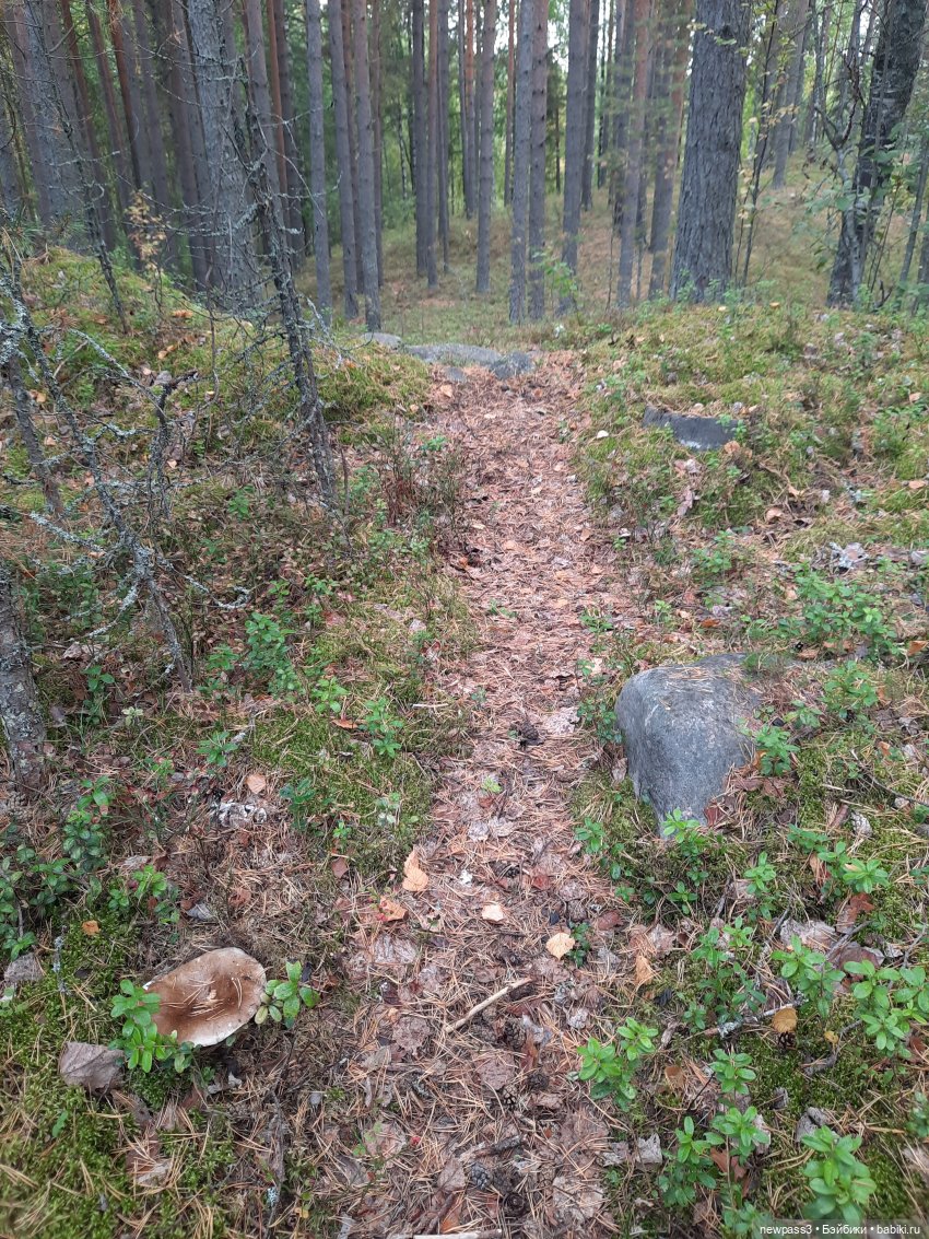 Знакомство с Карелией — Куклы Rosemarie Anna Muller (Мюллер): Вихтели (Wichtel) (фото 9)