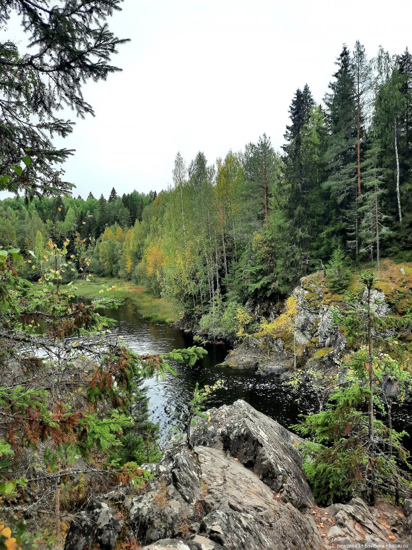 Знакомство с Карелией — Куклы Rosemarie Anna Muller (Мюллер): Вихтели (Wichtel) (фото 2)