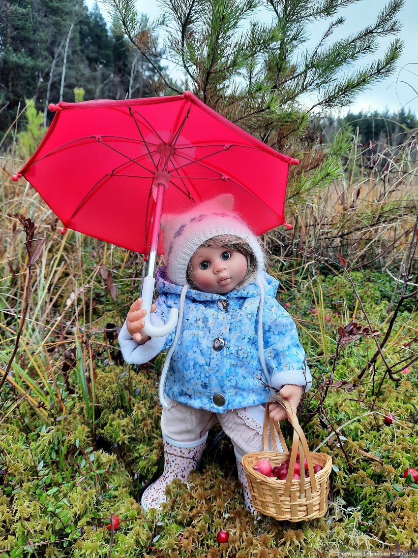 В тишине лесных болот, клюква красная растёт