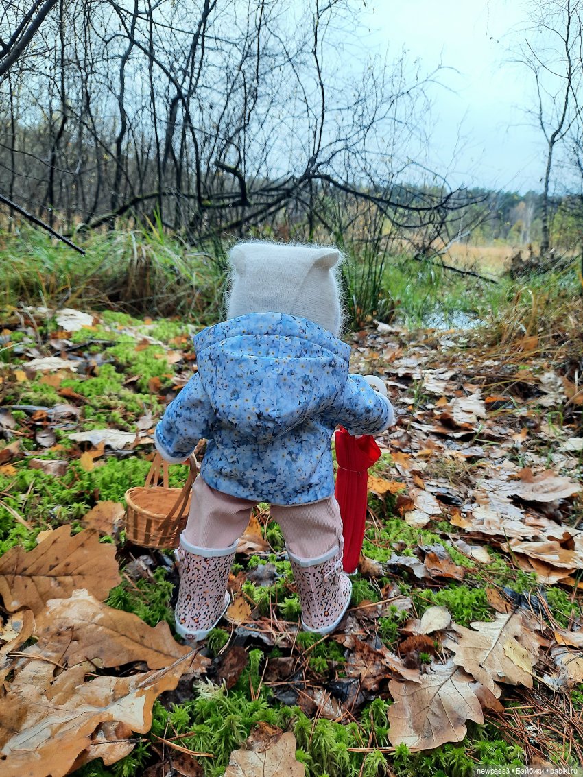 В тишине лесных болот, клюква красная растёт (фото 3)