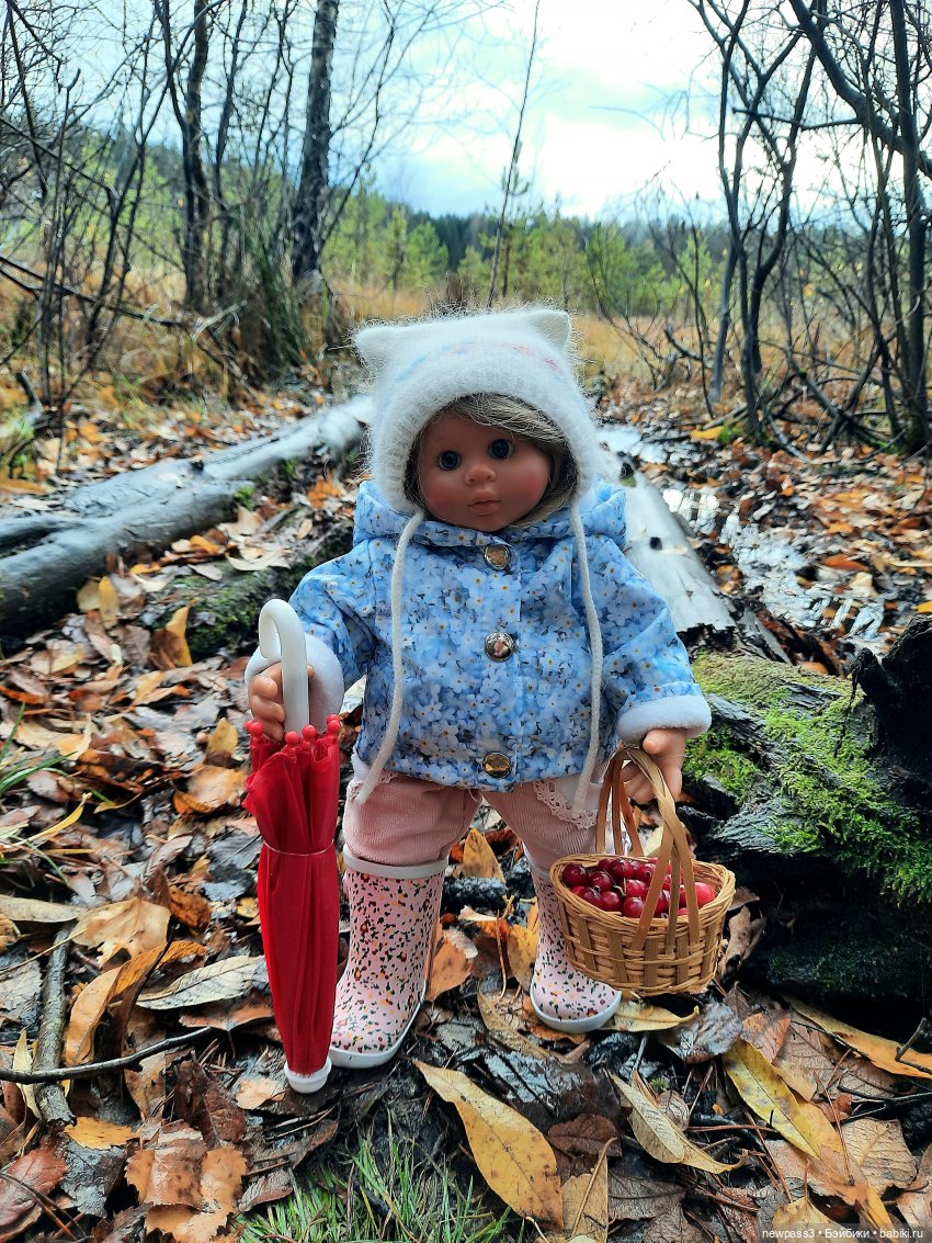 В тишине лесных болот, клюква красная растёт