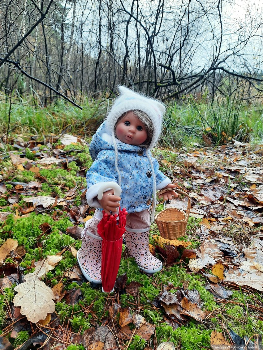 В тишине лесных болот, клюква красная растёт (фото 2)