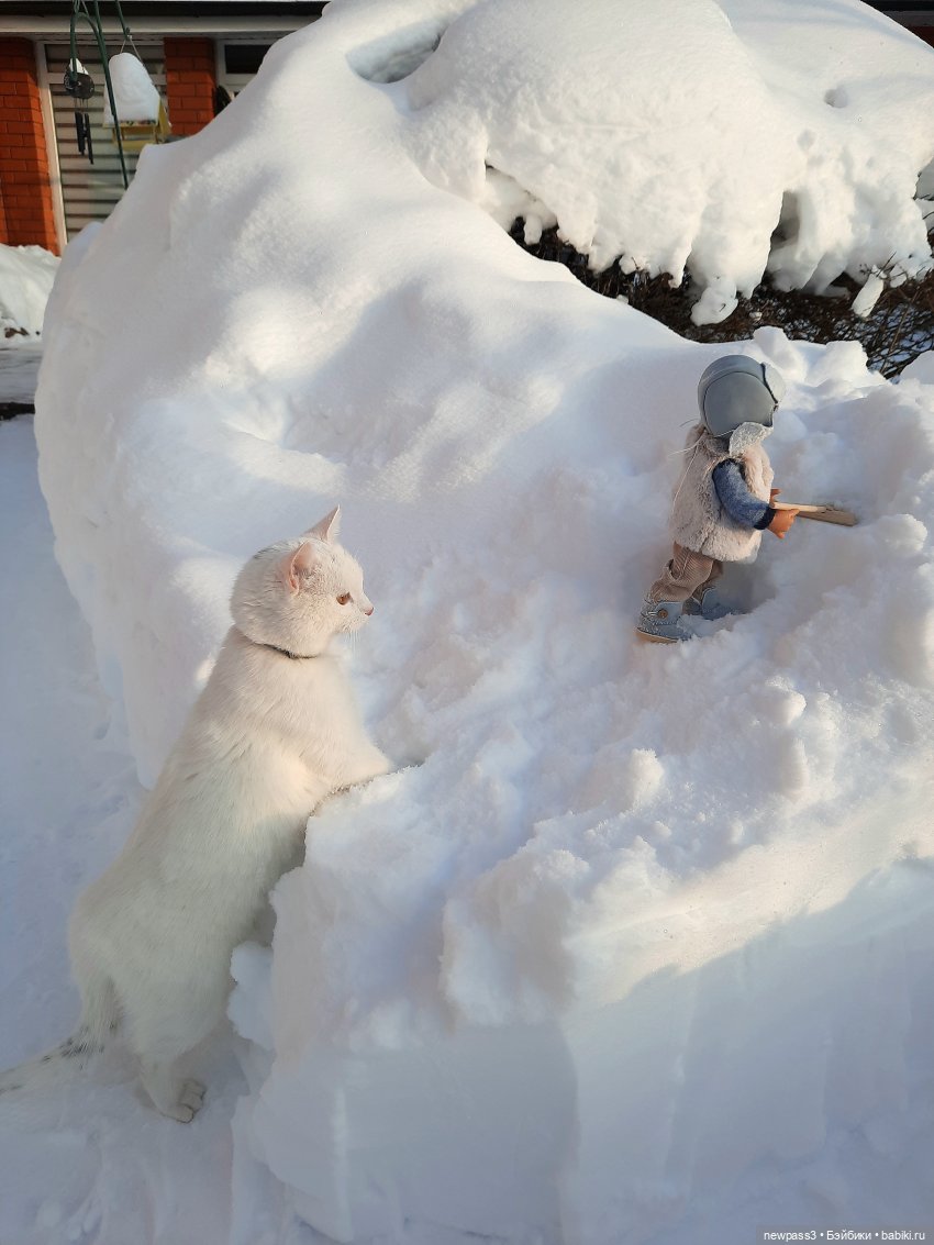 Мороз и солнце - стройте крепость (фото 3)