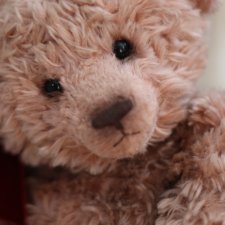 Мишка Тедди