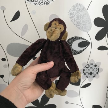 У меня поселился Жаконя