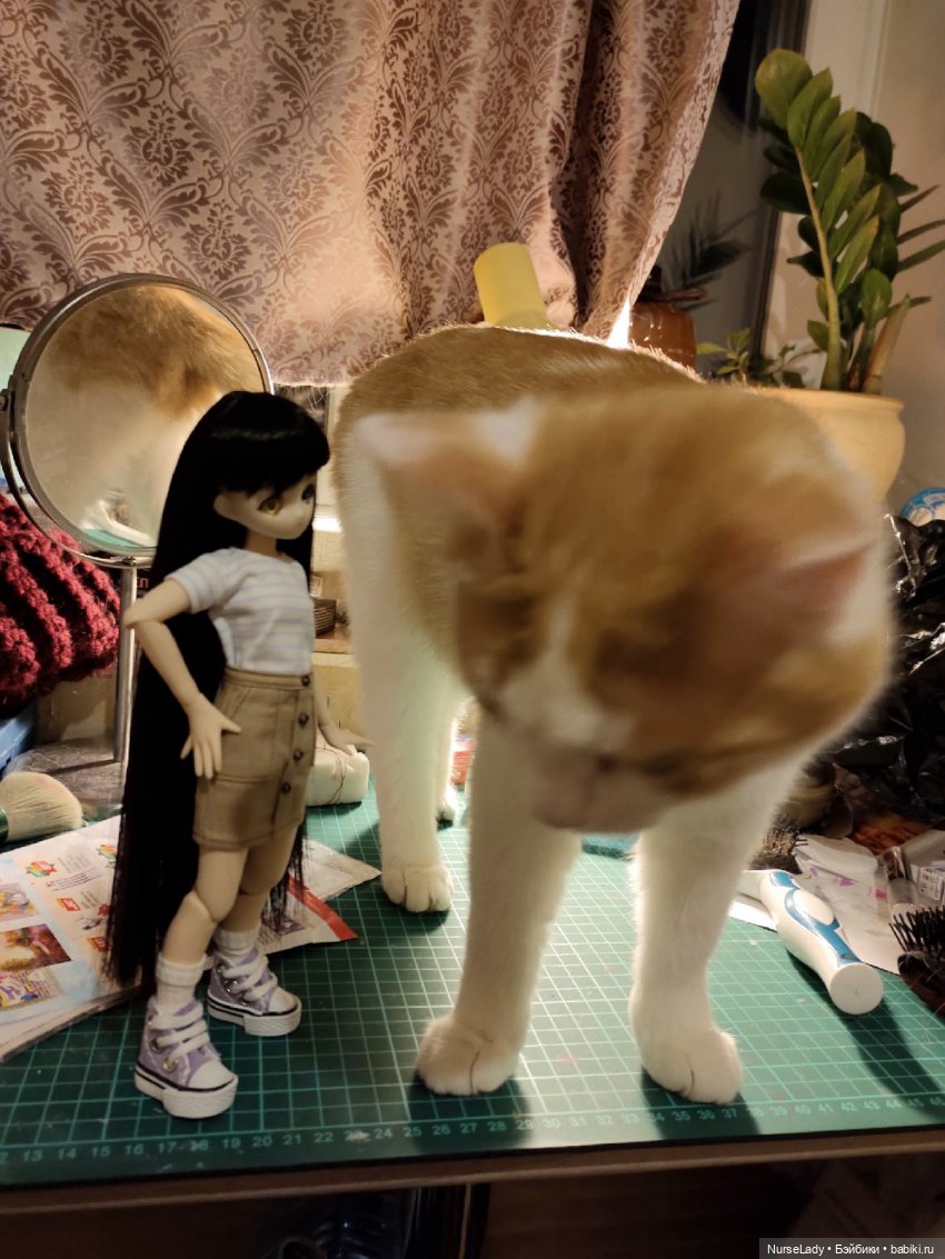 Куколка рядом с кошкой