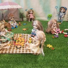 Пикник для большой компании