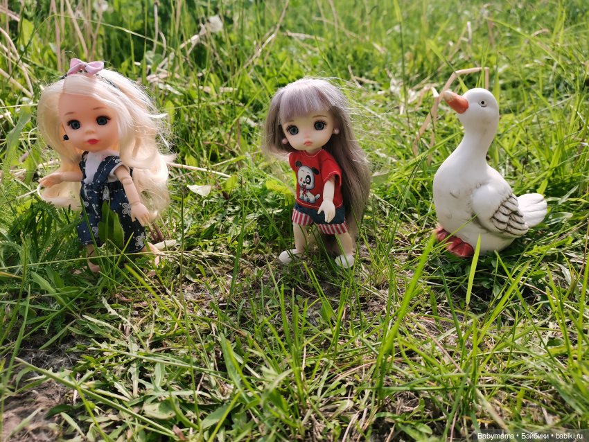 Элис с новой подружкой Дороти на даче (фото 2)