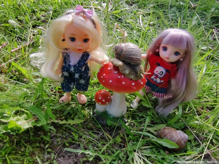 Элис с новой подружкой Дороти на даче (фото 5)