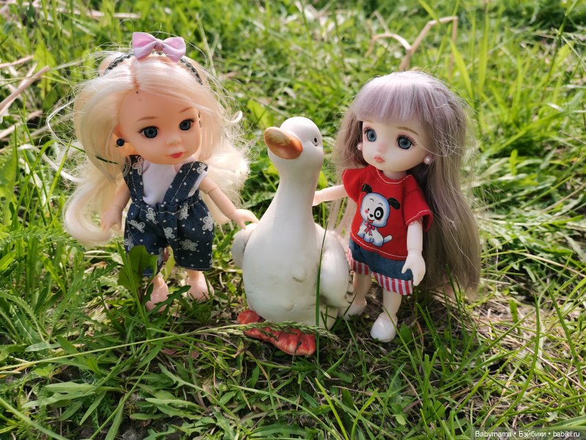 Элис с новой подружкой Дороти на даче (фото 3)