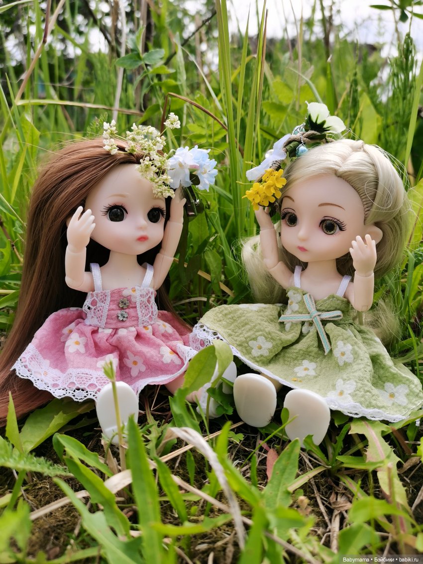 Девицы-красавицы по лесу гуляли (фото 3)