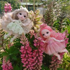 Неожиданные гостьи!