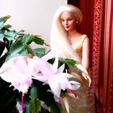 Сериал "Когда цветёт декабрист", серия 3, заключительная: моя главная кукольная любовь