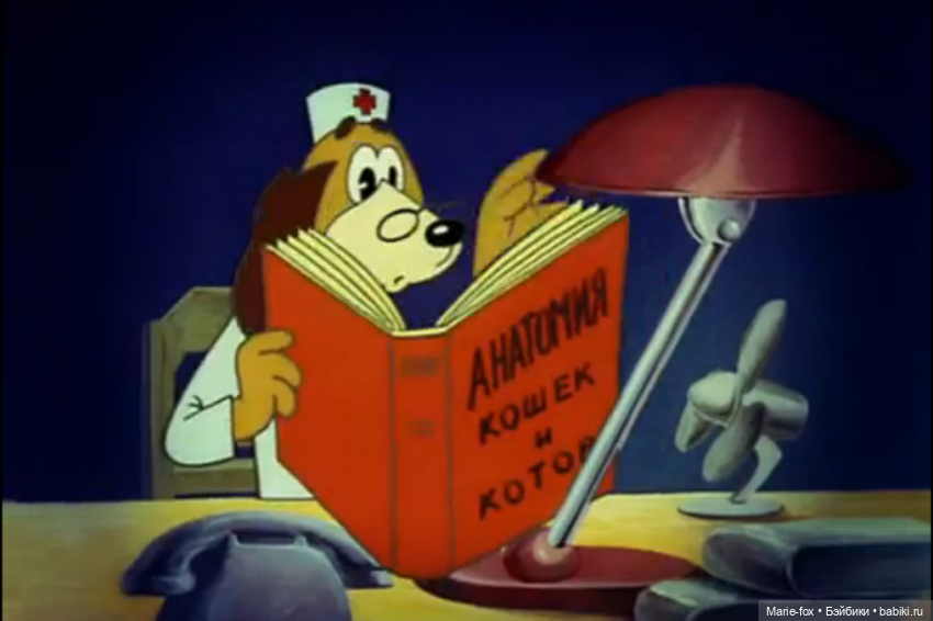 День книгодарения — Интересное и необычное: фотоподборки (фото 7)