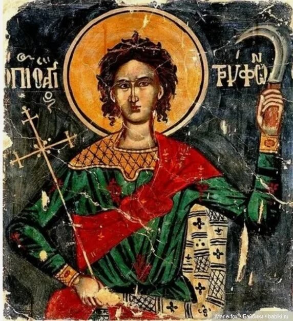 День Святого Трифона — Интересное и необычное: фотоподборки