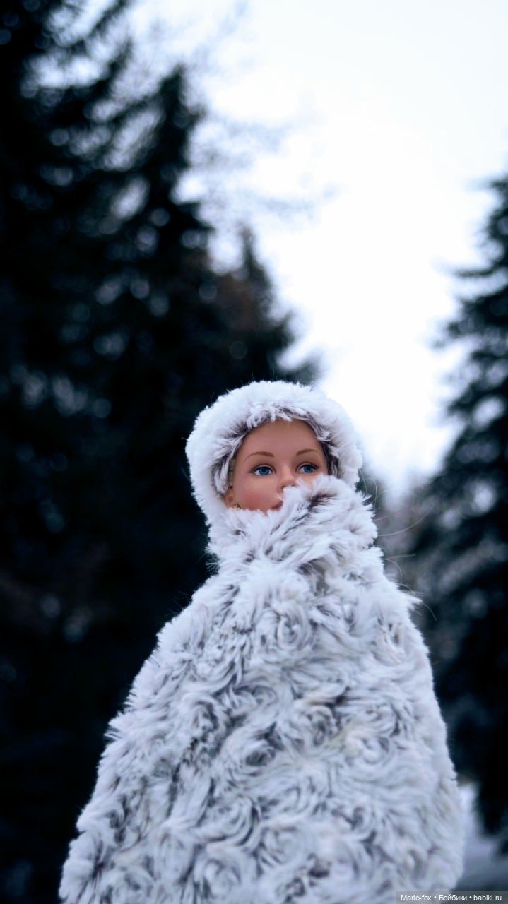 По Сеньке шапка: Арсения гуляет по заснеженному Сарову (фото 6)