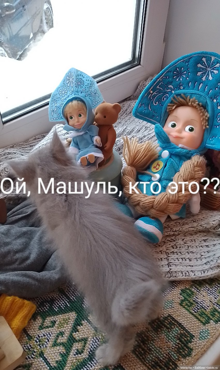 Мышь всех Машек распугала (фото 4)