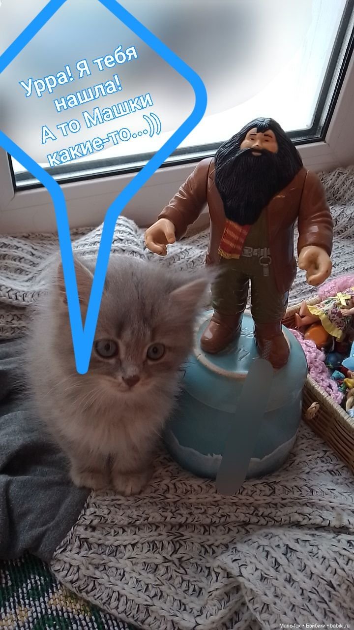 Мышь всех Машек распугала (фото 7)