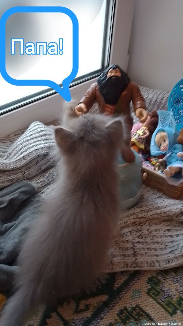 Мышь всех Машек распугала (фото 6)