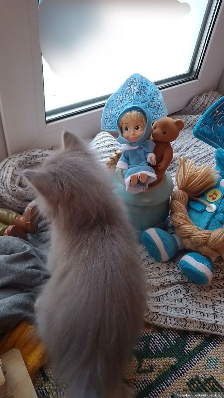 Мышь всех Машек распугала (фото 8)