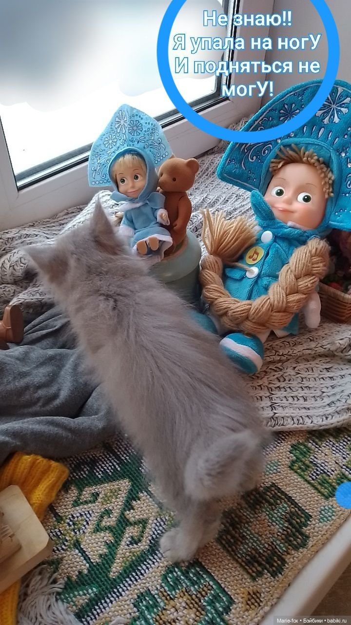 Мышь всех Машек распугала (фото 5)