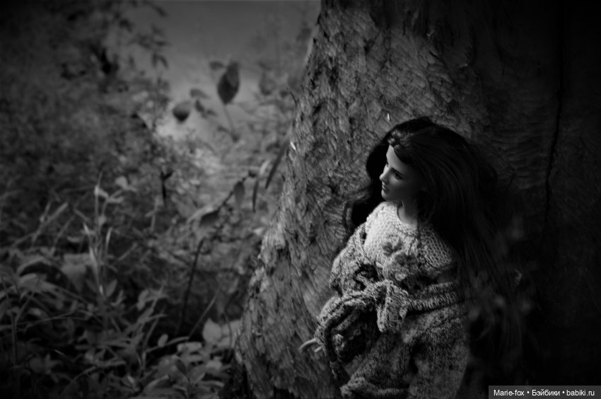 По лесам, по полям Белла Свон приехала к нам! Любовь с первого взгляда. Первая прогулка (фото 2)