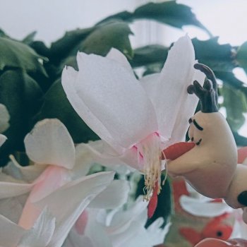 Хроники Мариенделла: маленький Олаф в саду огромных цветов