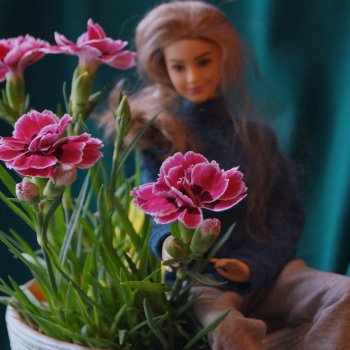 В саду цветов