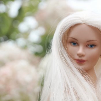 Когда цветут гортензии. Часть вторая. В фокусе Seventeen by Robert Tonner