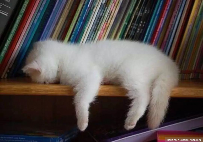 Каталог кукол Роберта Тоннера N3, зима 2006\2007