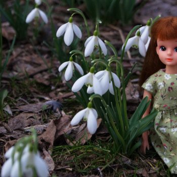 Весна пришла! Ликкуша гуляет