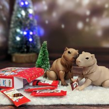 В Новый Год с первым топиком