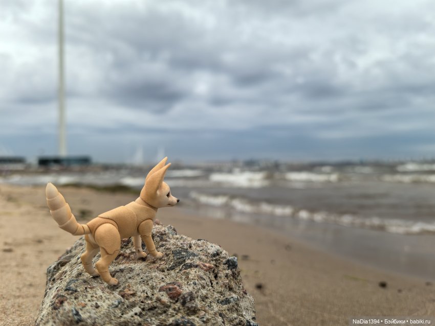 Наше лето — Разные шарнирные куклы (не БЖД): редкие