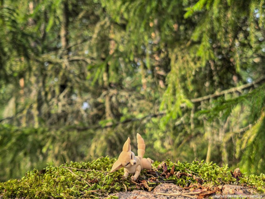 Наше лето — Разные шарнирные куклы (не БЖД): редкие