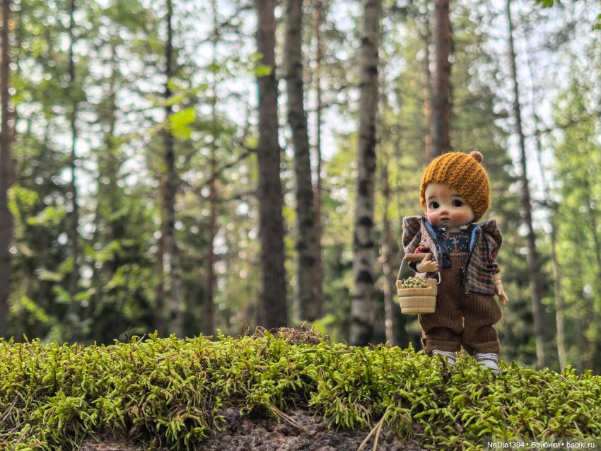 Наше лето — Разные шарнирные куклы (не БЖД): редкие