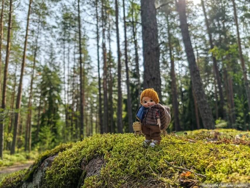 Наше лето — Разные шарнирные куклы (не БЖД): редкие