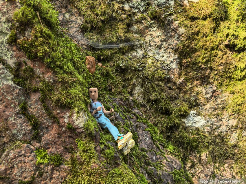 Наше лето — Разные шарнирные куклы (не БЖД): редкие