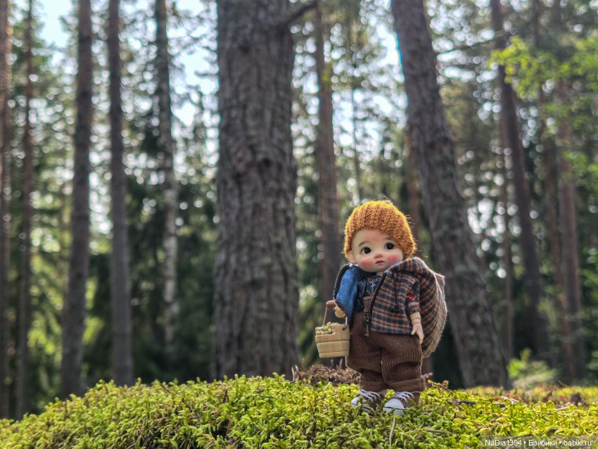 Наше лето — Разные шарнирные куклы (не БЖД): редкие