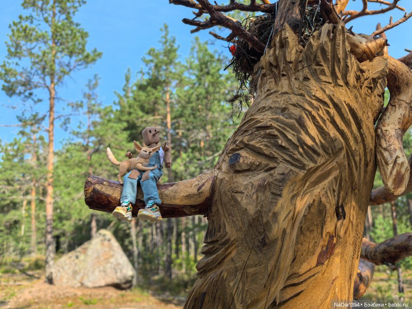 Наше лето — Разные шарнирные куклы (не БЖД): редкие