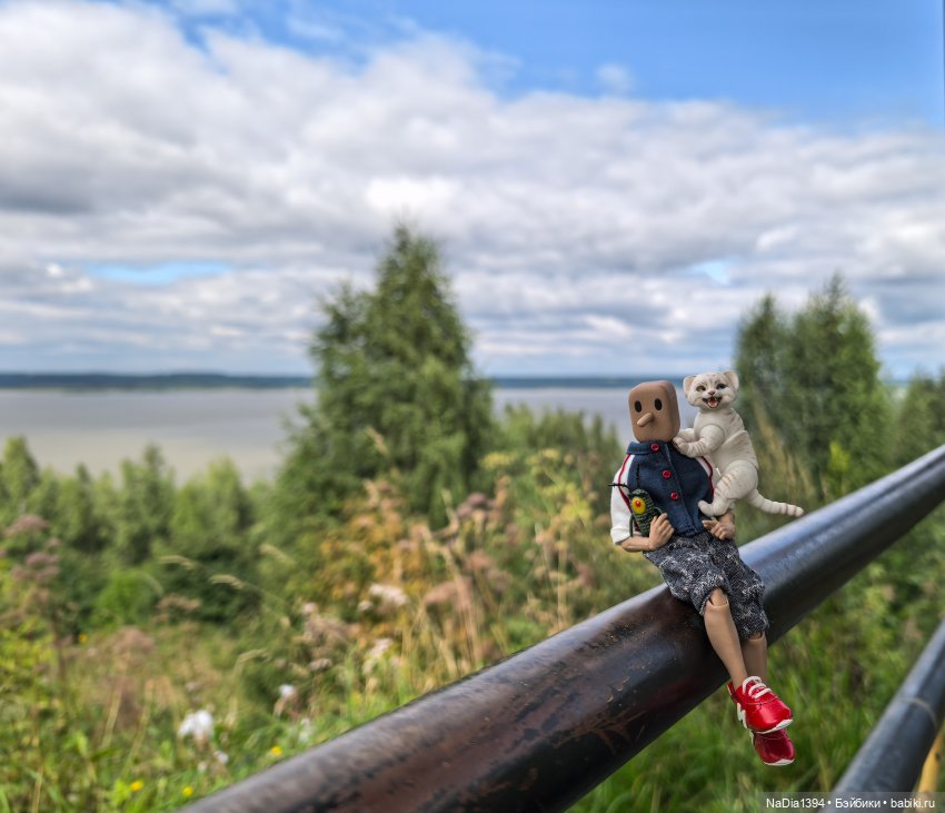 Наше лето — Разные шарнирные куклы (не БЖД): редкие