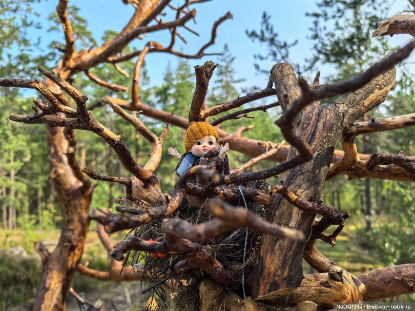 Наше лето — Разные шарнирные куклы (не БЖД): редкие