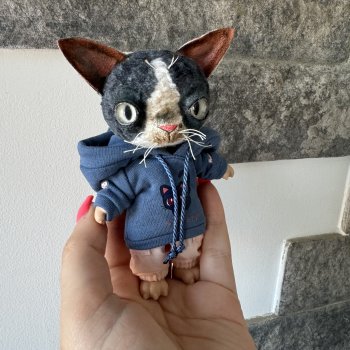 Маленький серый котик