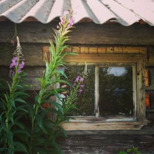 Путешествие к истокам. Вдохновляюсь северной деревней