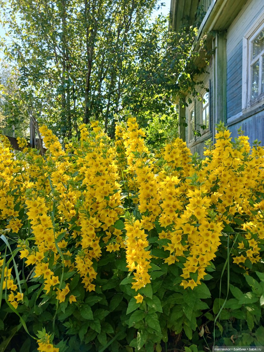 Попытка вторая. Удачная — Российские куклы Весна (фото 2)