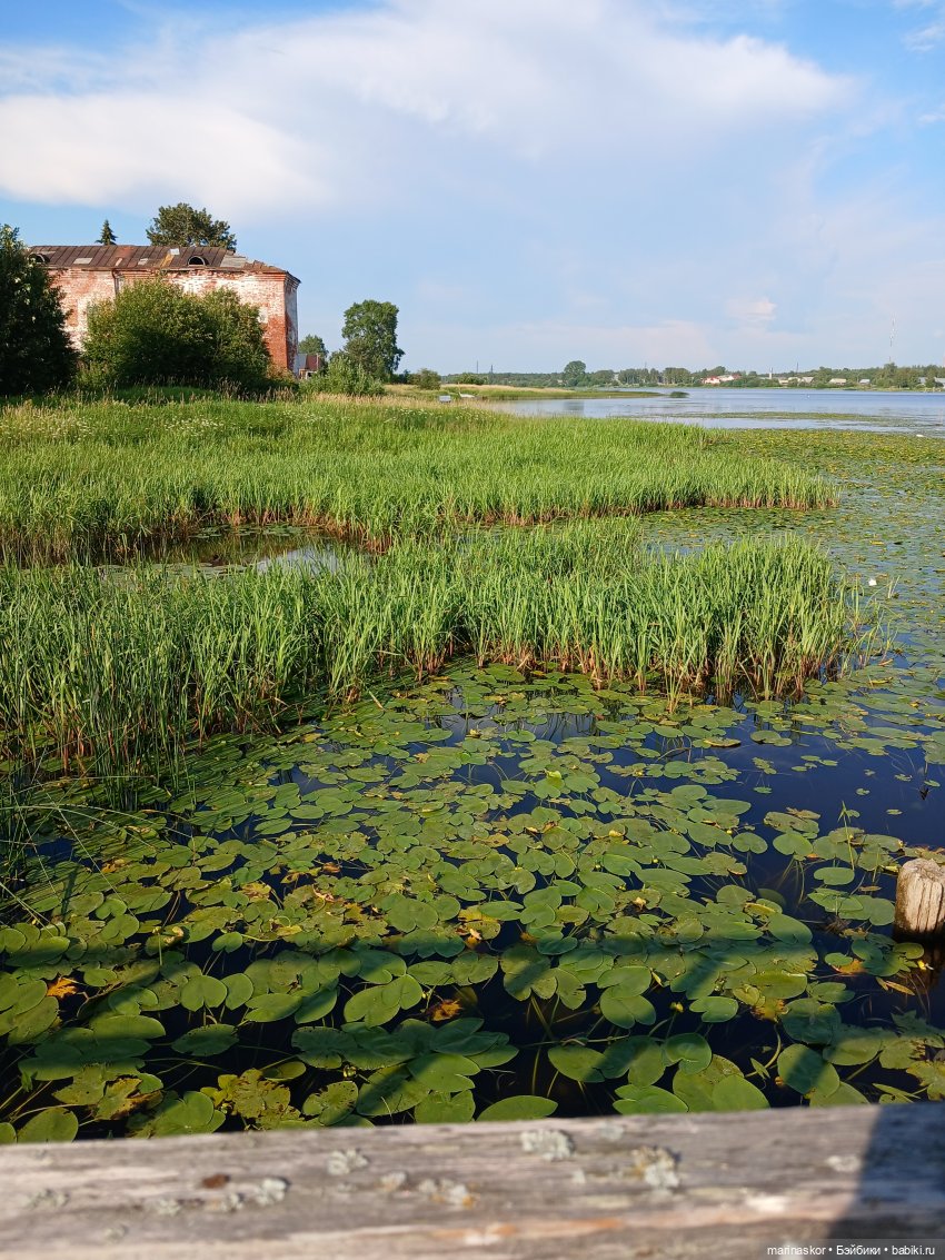 Каргопольская глиняная игрушка. "Бабкина поляна"