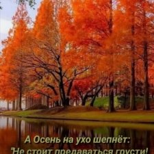 Осенняя прогулка с Кристи