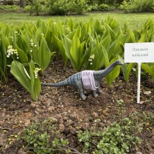 Некиса и майский парк