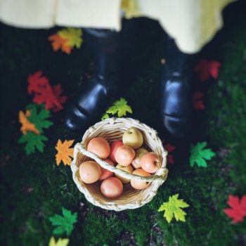 Осенние итоги. 2025